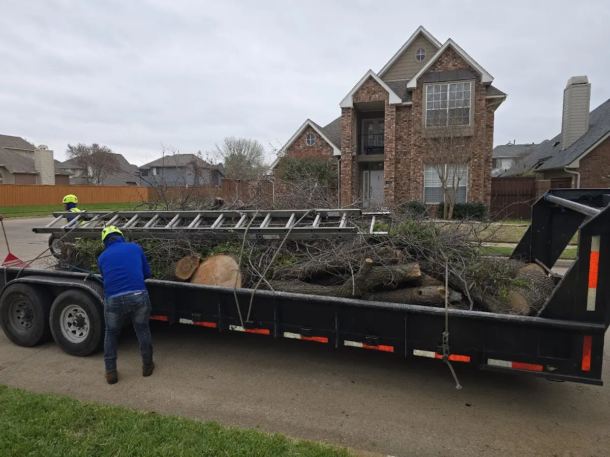 Expert Tree Fertilization with proper safety equipment in Millington